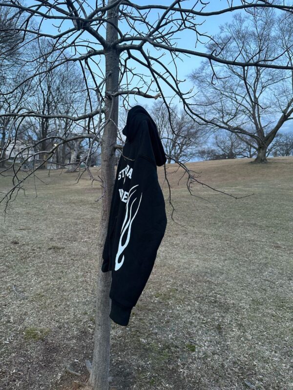 Stripe Eternal Worldwide Hoodie - Image 5