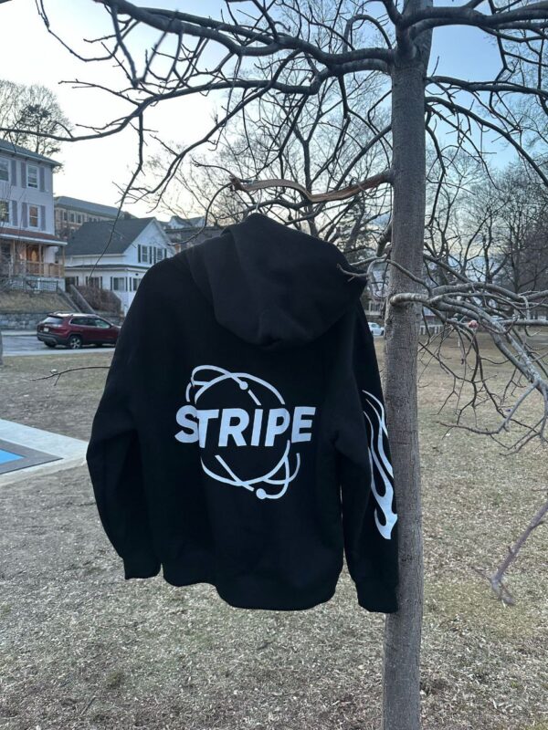 Stripe Eternal Worldwide Hoodie - Image 9