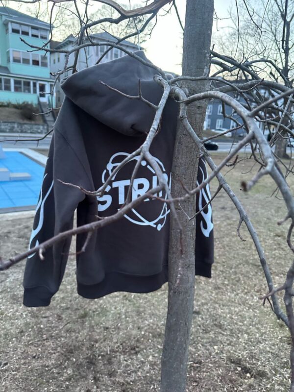Stripe Eternal Worldwide Hoodie - Image 3