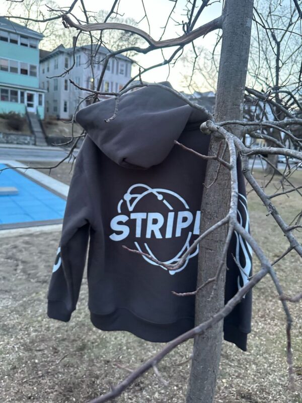Stripe Eternal Worldwide Hoodie - Image 5