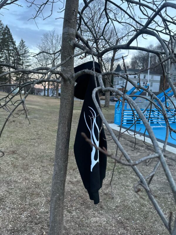 Stripe BlackBerry Hoodie - Image 4